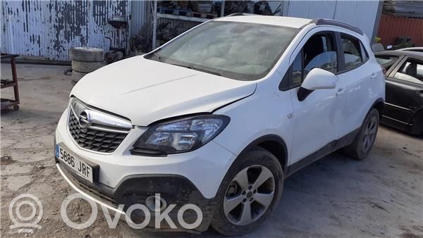 Mokka Mokka  13506237