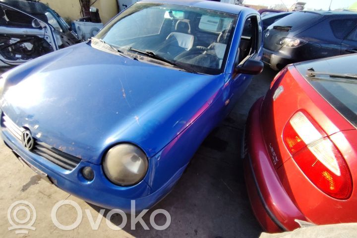 Lupo Lupo