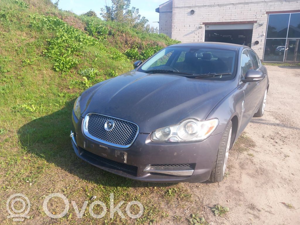 XF X250 XF  5R836061BA