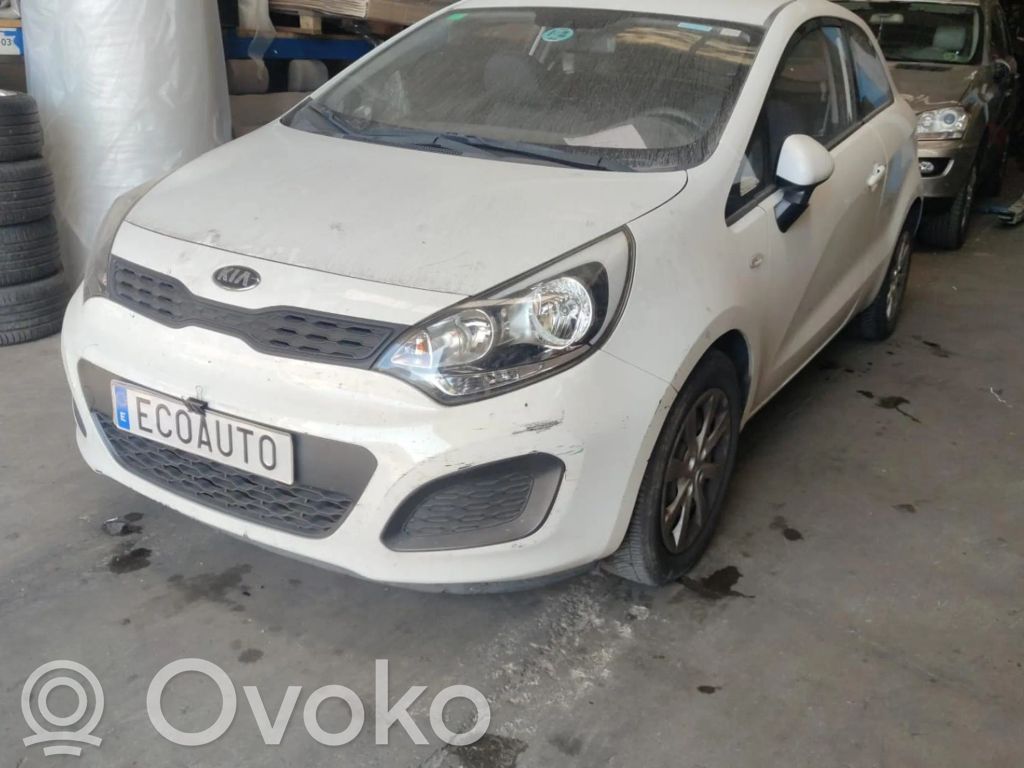 Rio Rio  589201W505