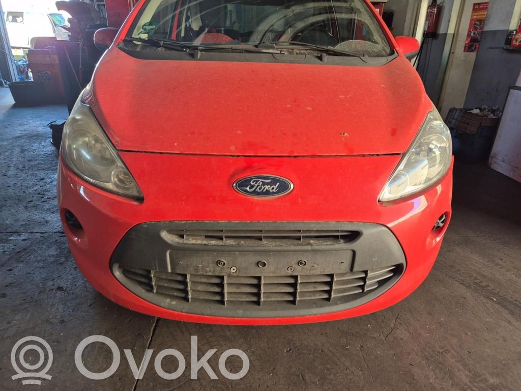 Ka Ka  51700675