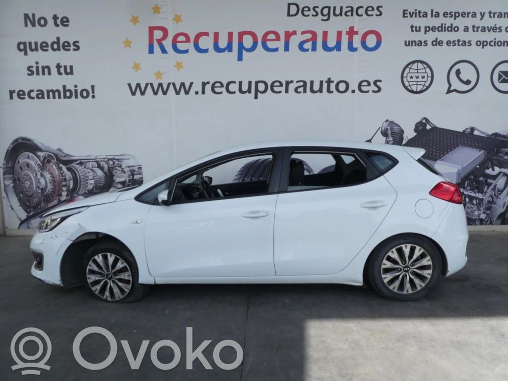 Ceed Ceed, Ceed SW, Pro Ceed  3921003120