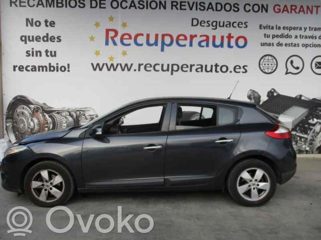 Megane III Megane  685000007R