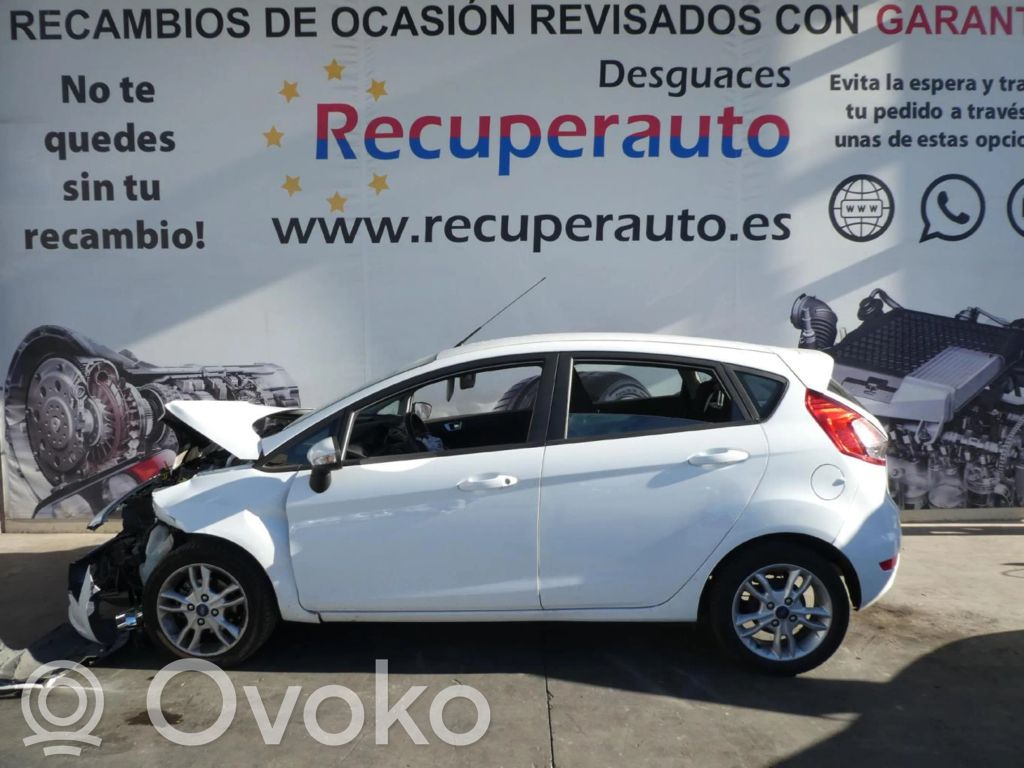 Fiesta Fiesta  50989002