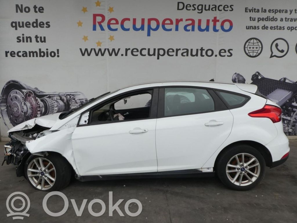 Focus Focus  F1F19Y460DA