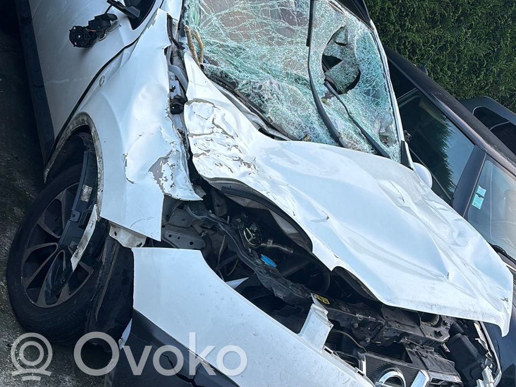Qashqai Qashqai, Qashqai+2  25610BR00A
