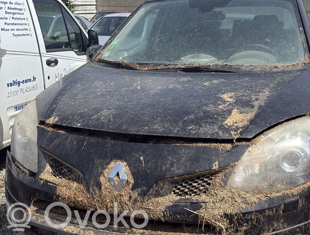Koleos I Koleos  24381C9900