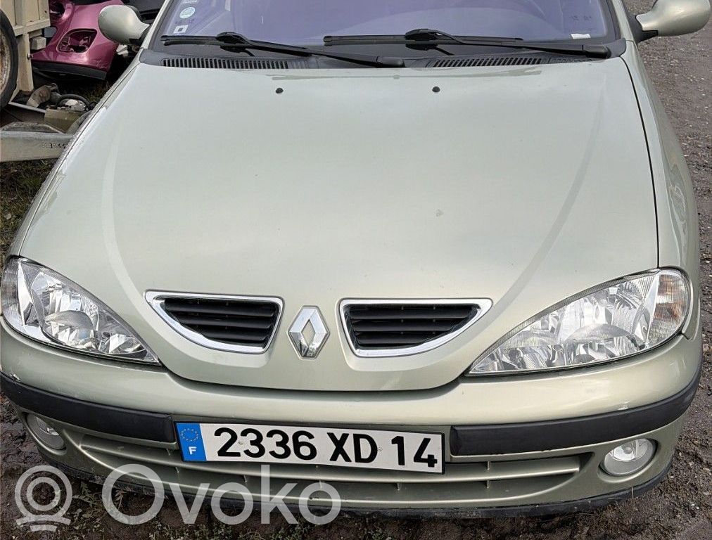 Megane I Megane  D7E6