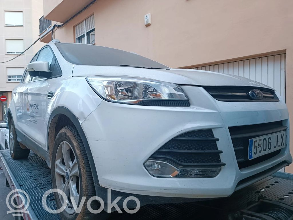 Kuga II Kuga  1838675