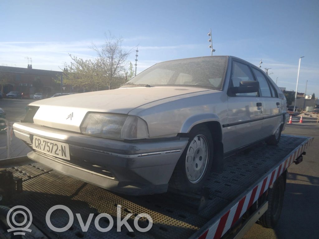 BX BX