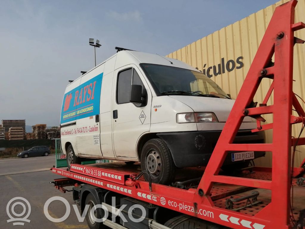 Ducato Ducato  1302631808