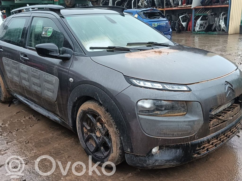 C4 Cactus C4 Picasso, Grand Picasso, Aircross, Cactus  9809739280