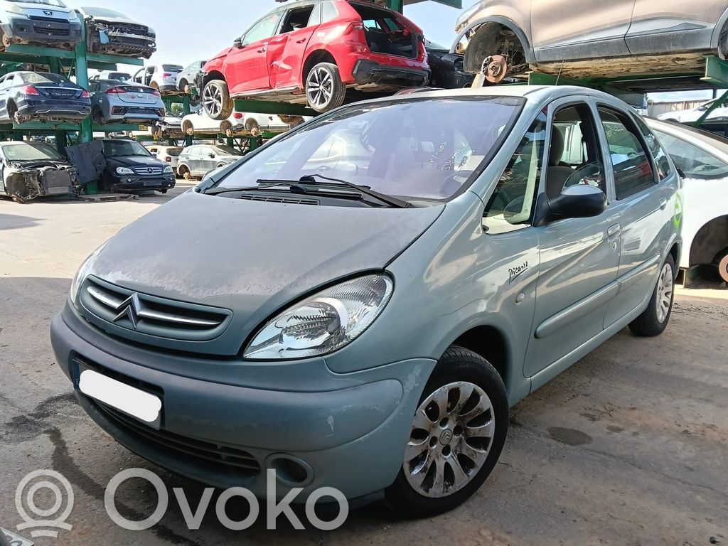 Xsara Xsara, Xsara Picasso