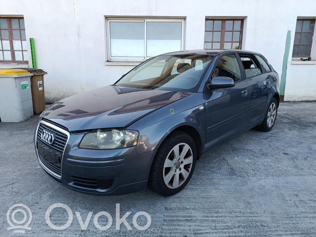 A3 S3 A3 Sportback 8P A3, S3  1K0121253AA
