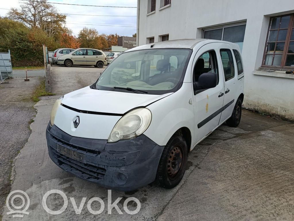 Kangoo II Kangoo  8200419941