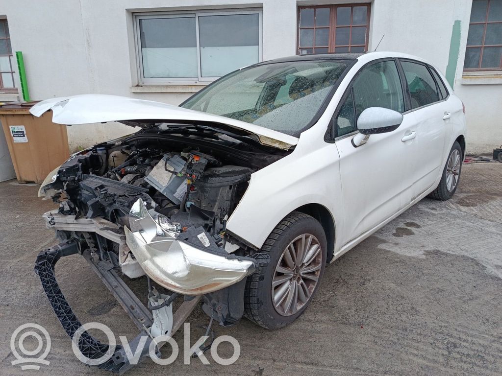 C4 II C4 Picasso, Grand Picasso, Aircross, Cactus  1613360480