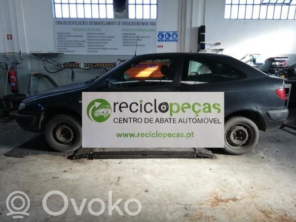 Xsara Xsara, Xsara Picasso