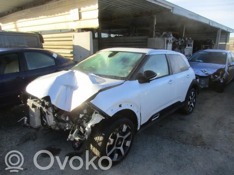 C4 Cactus C4 Picasso, Grand Picasso, Aircross, Cactus  9809391880