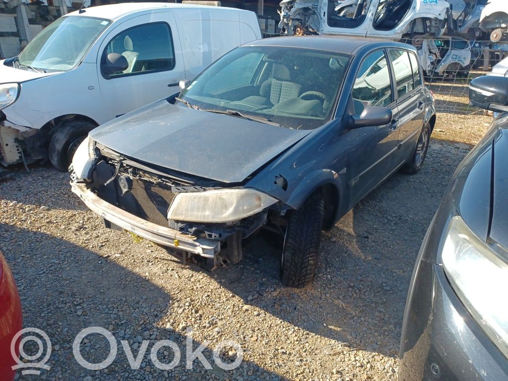 Megane II Megane  8200073237