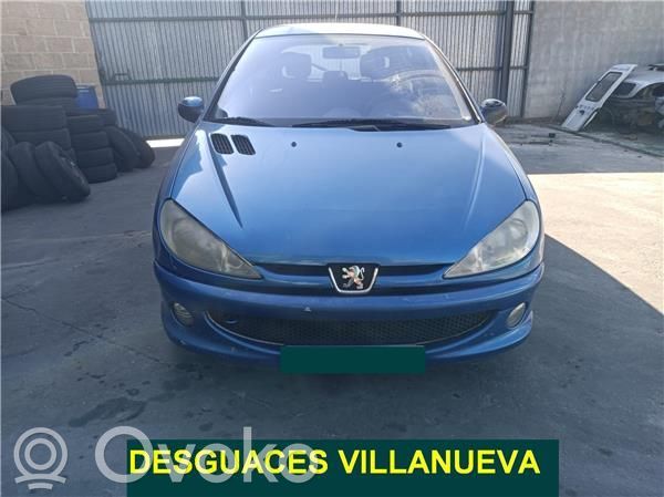 206 206, 206+  9650242977C00