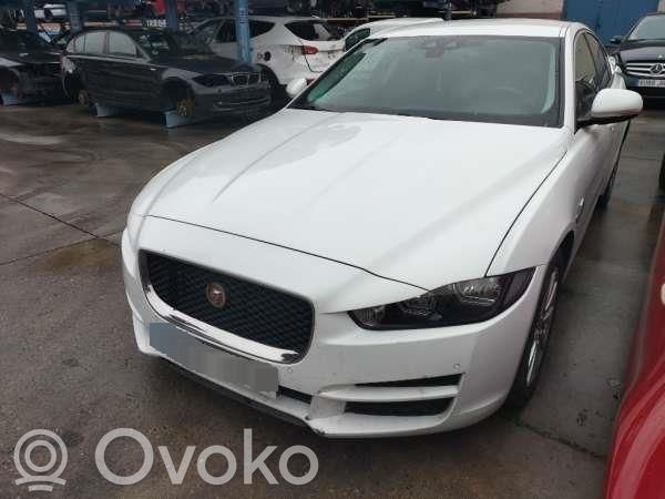 XE XE  T4N2634