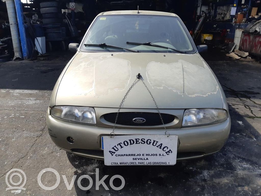 Fiesta Fiesta  A43102CC