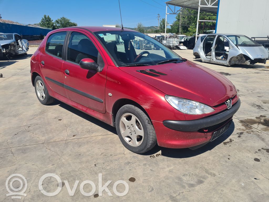 206 206, 206+  9656956080