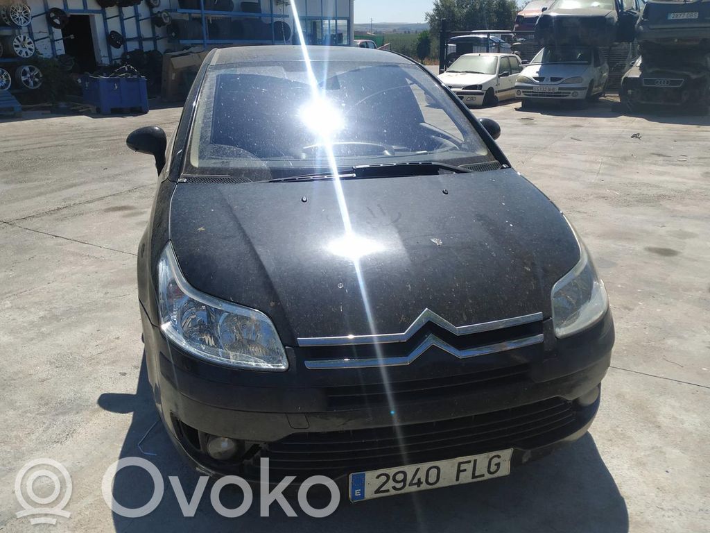 C4 I C4 Picasso, Grand Picasso, Aircross, Cactus  96496367
