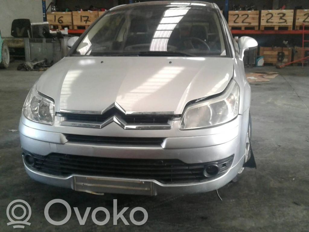 C4 I C4 Picasso, Grand Picasso, Aircross, Cactus  345657356