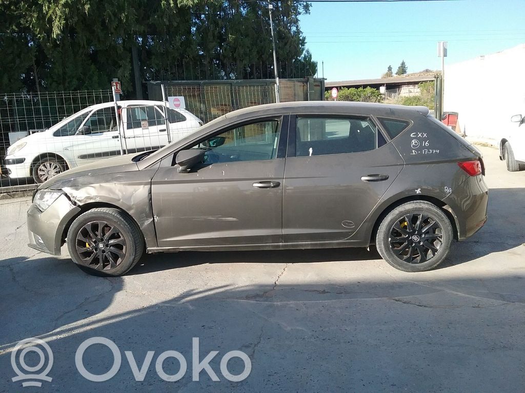 Leon (5F) Leon  90042874