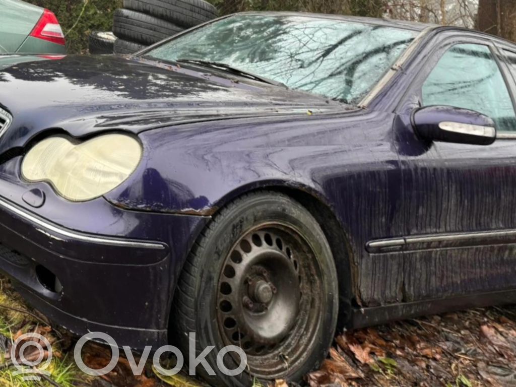 C W203 C-class, AMG (W202, W203, W204, W205, W206)  0280750019