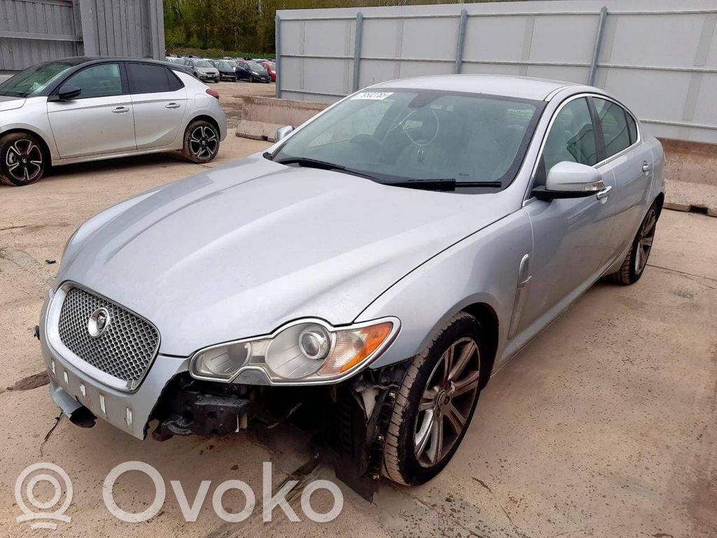 XF X250 XF  BAMPT10479