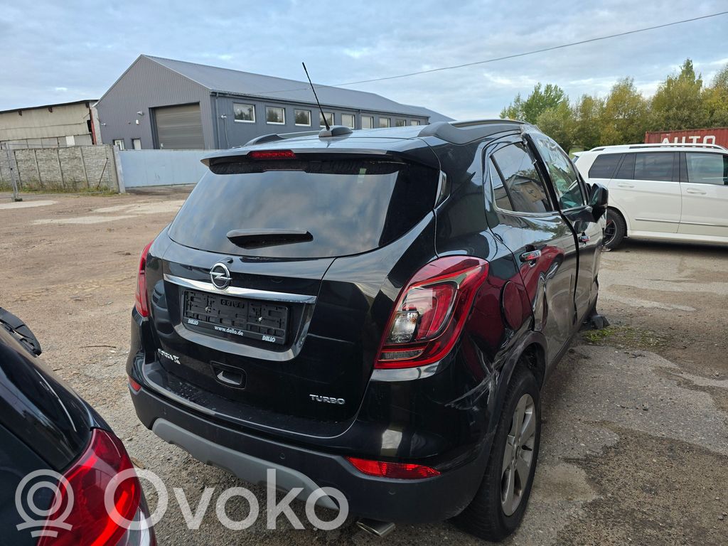 Mokka X Mokka  13595535