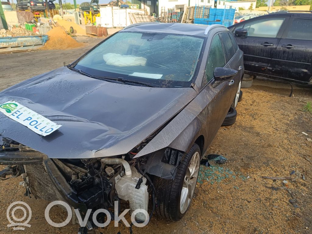 Leon (5F) Leon  02E911023T