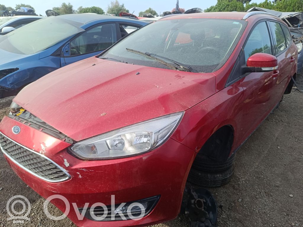 Focus Focus  1866072