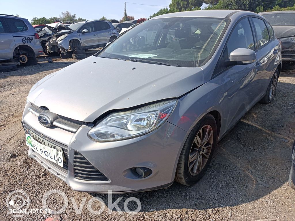 Focus Focus  2172992