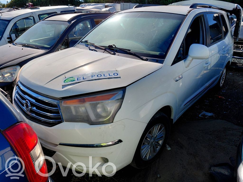 Rodius Rodius/Stavic  4894021710