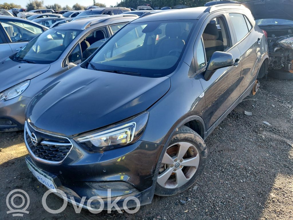Mokka Mokka  25194650