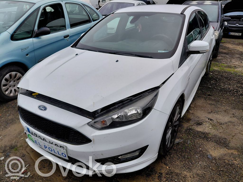 Focus Focus  2557599