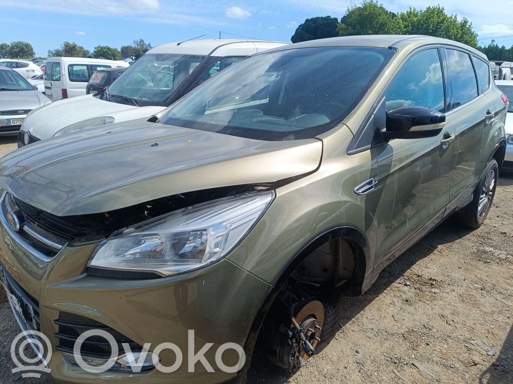 Kuga II Kuga  1877458