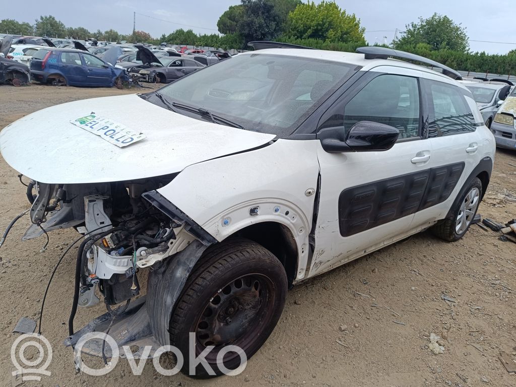 C4 Cactus C4 Picasso, Grand Picasso, Aircross, Cactus  3479010100