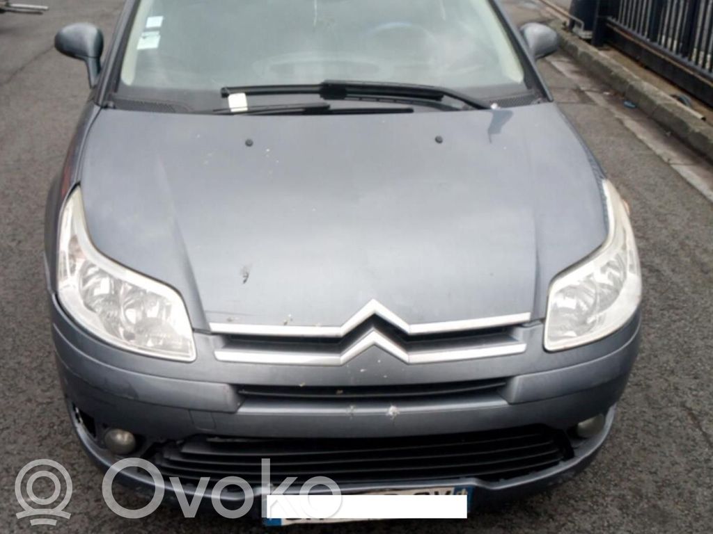 C4 I C4 Picasso, Grand Picasso, Aircross, Cactus  00007410W9