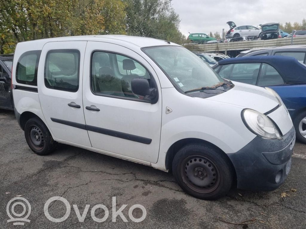 Kangoo II Kangoo  8201240013