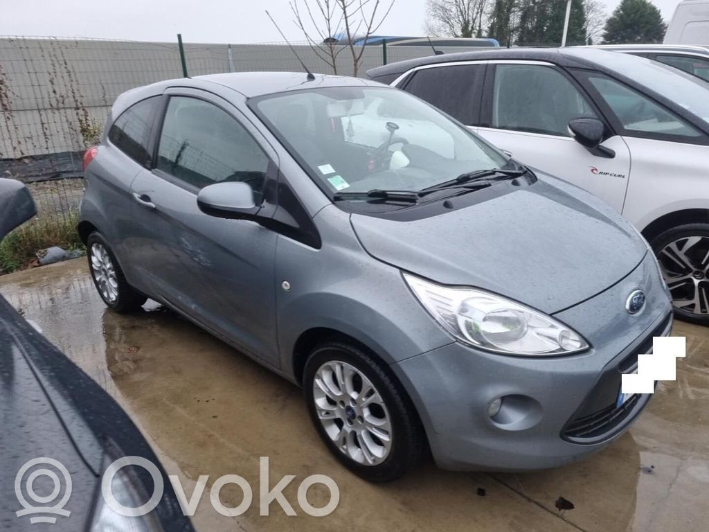 Ka Ka  1563832