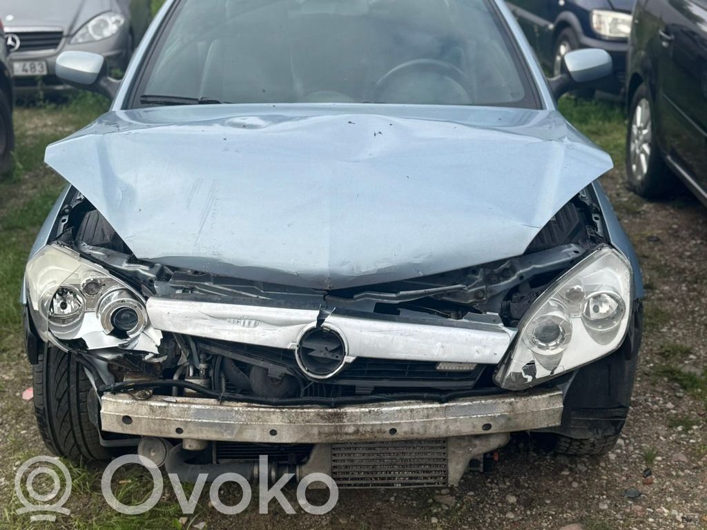 Tigra B Tigra  13118192