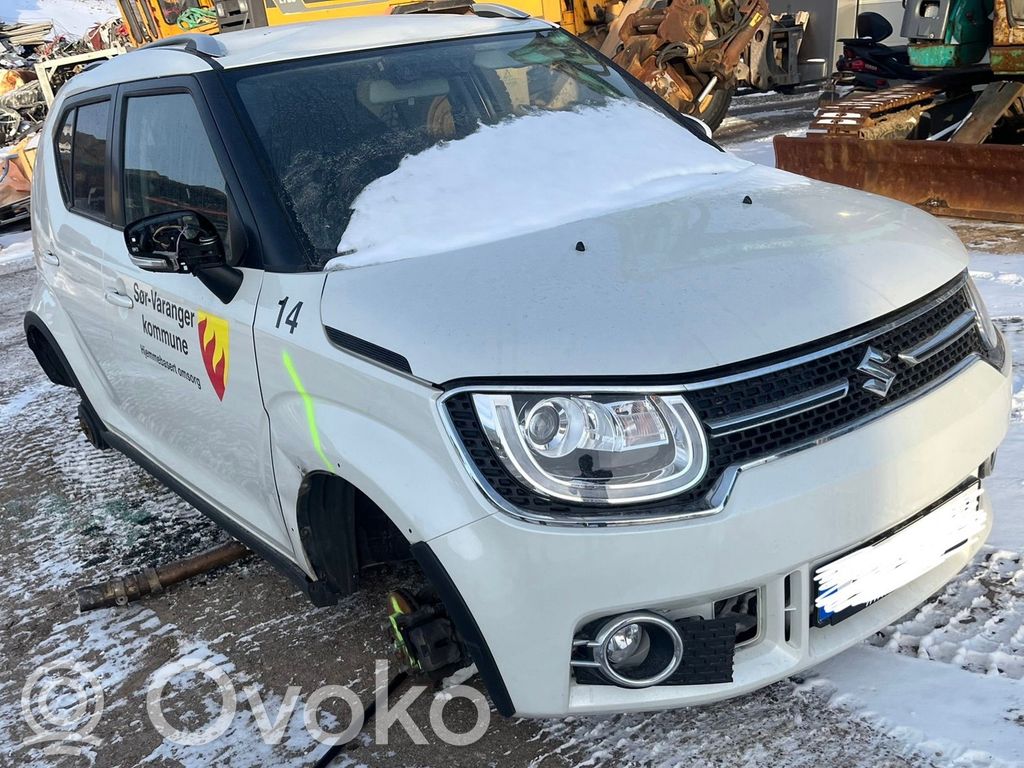 Ignis Ignis  3399162R12