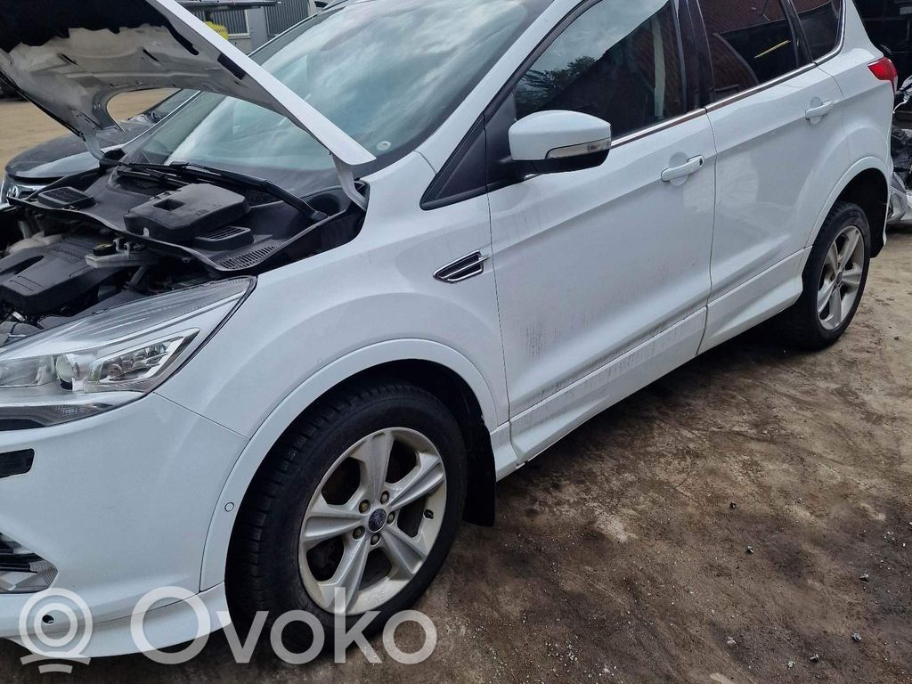Kuga II Kuga  D1BT14D212ED