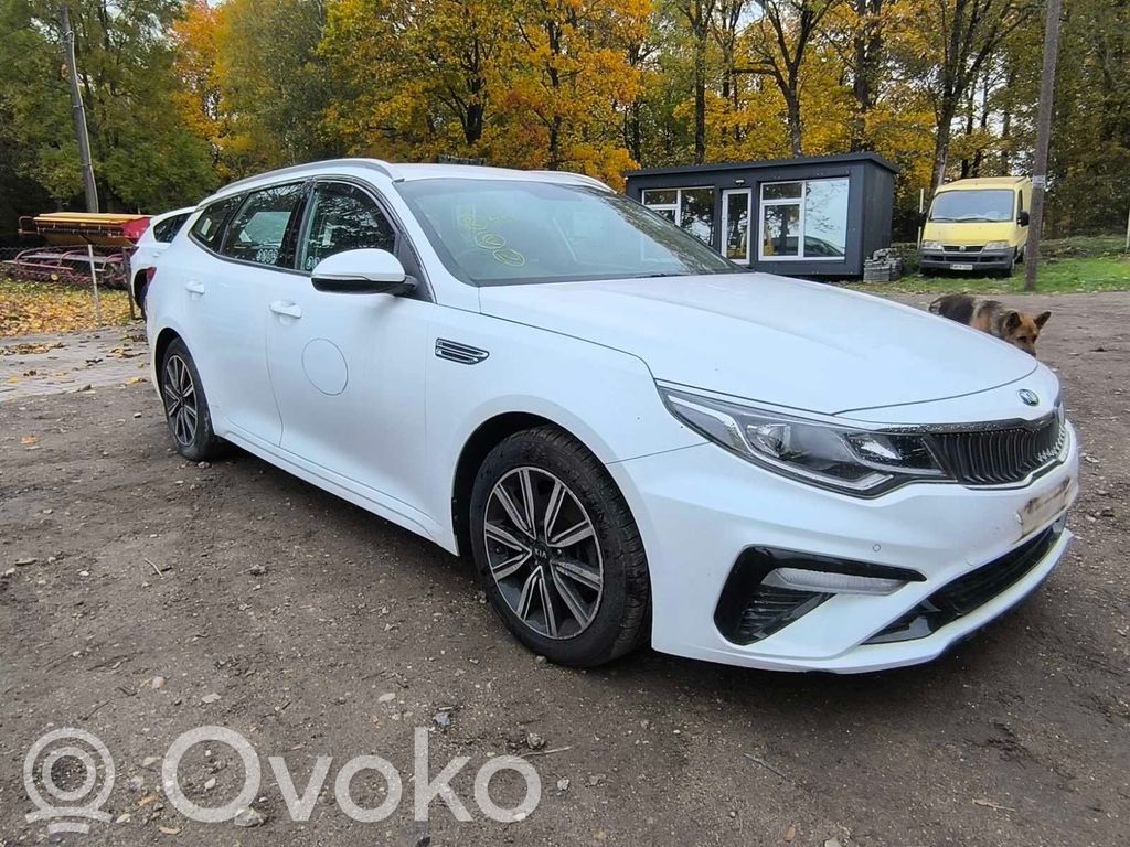 Optima Optima  54584C1000