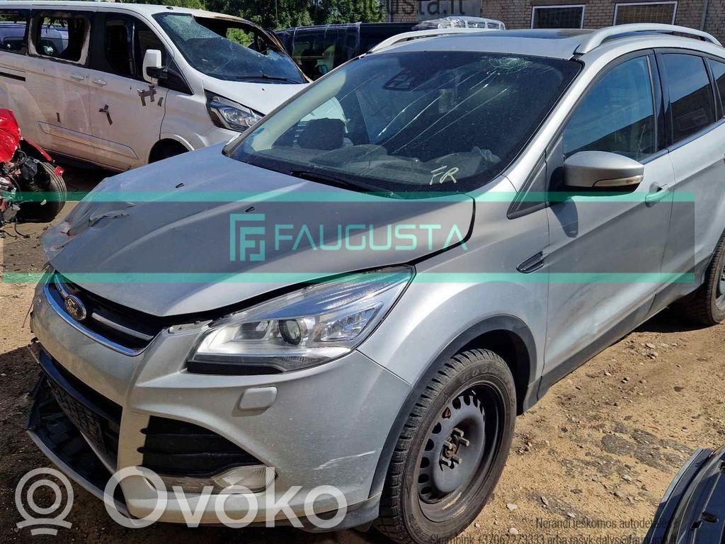 Kuga II Kuga