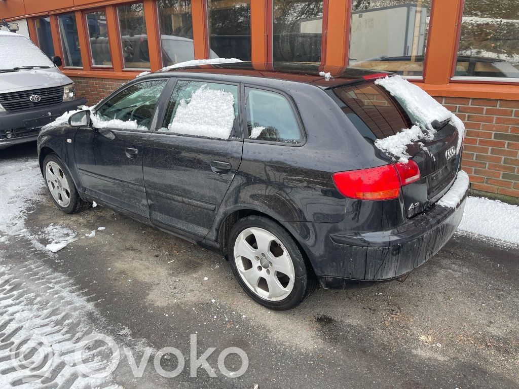 A3 S3 A3 Sportback 8P A3, S3  8PO419689A